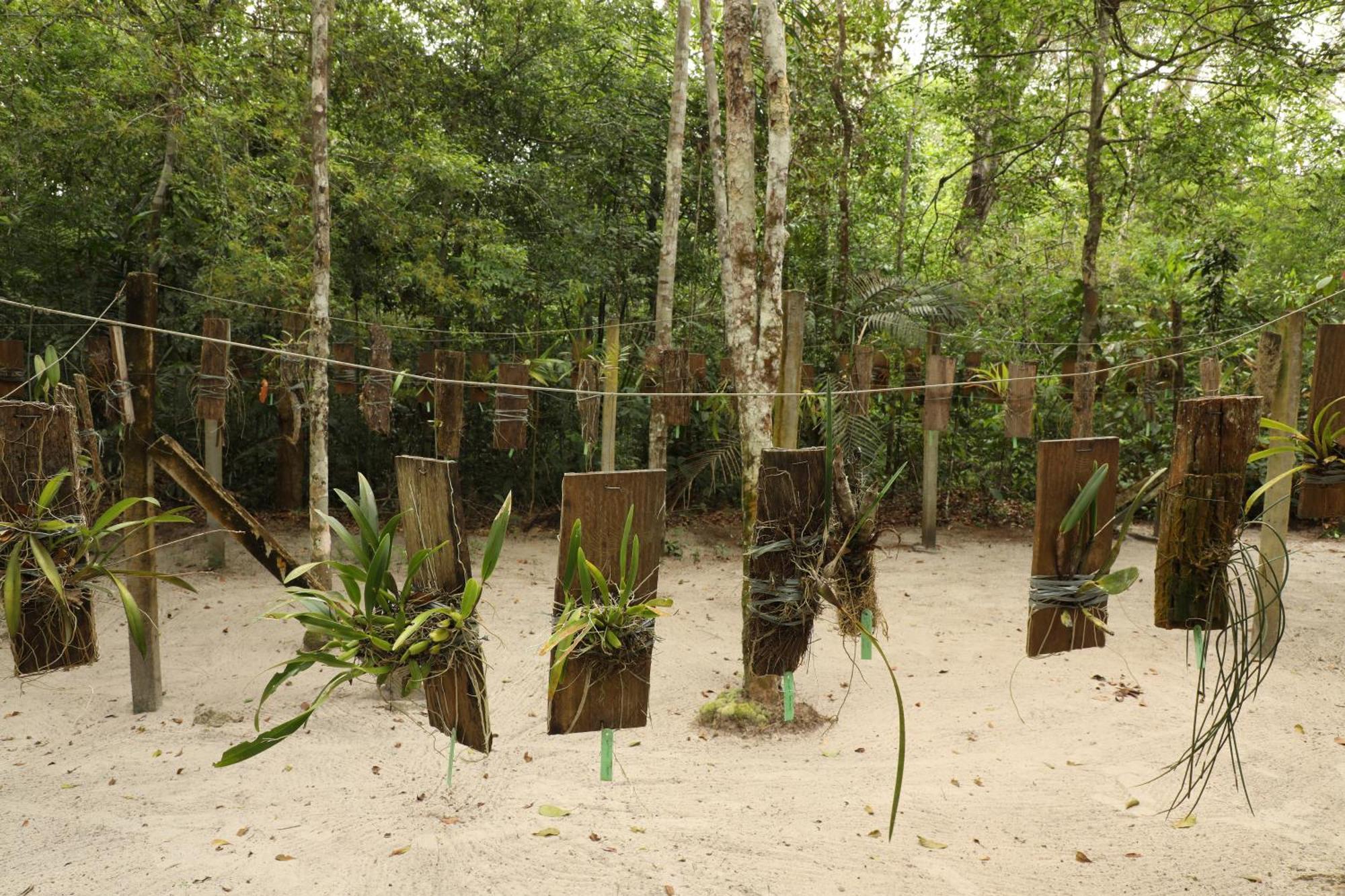 Amazon Ecopark Jungle Lodge Manaus Exterior photo