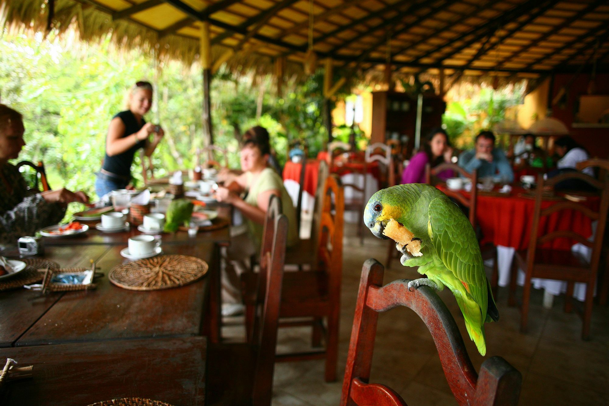Amazon Ecopark Jungle Lodge Manaus Exterior photo